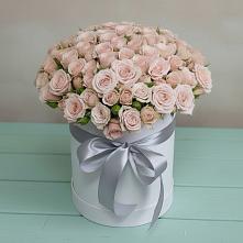 Цветочная композиция из Розы в шляпной коробке #REPLACE_PRED# Каргинской