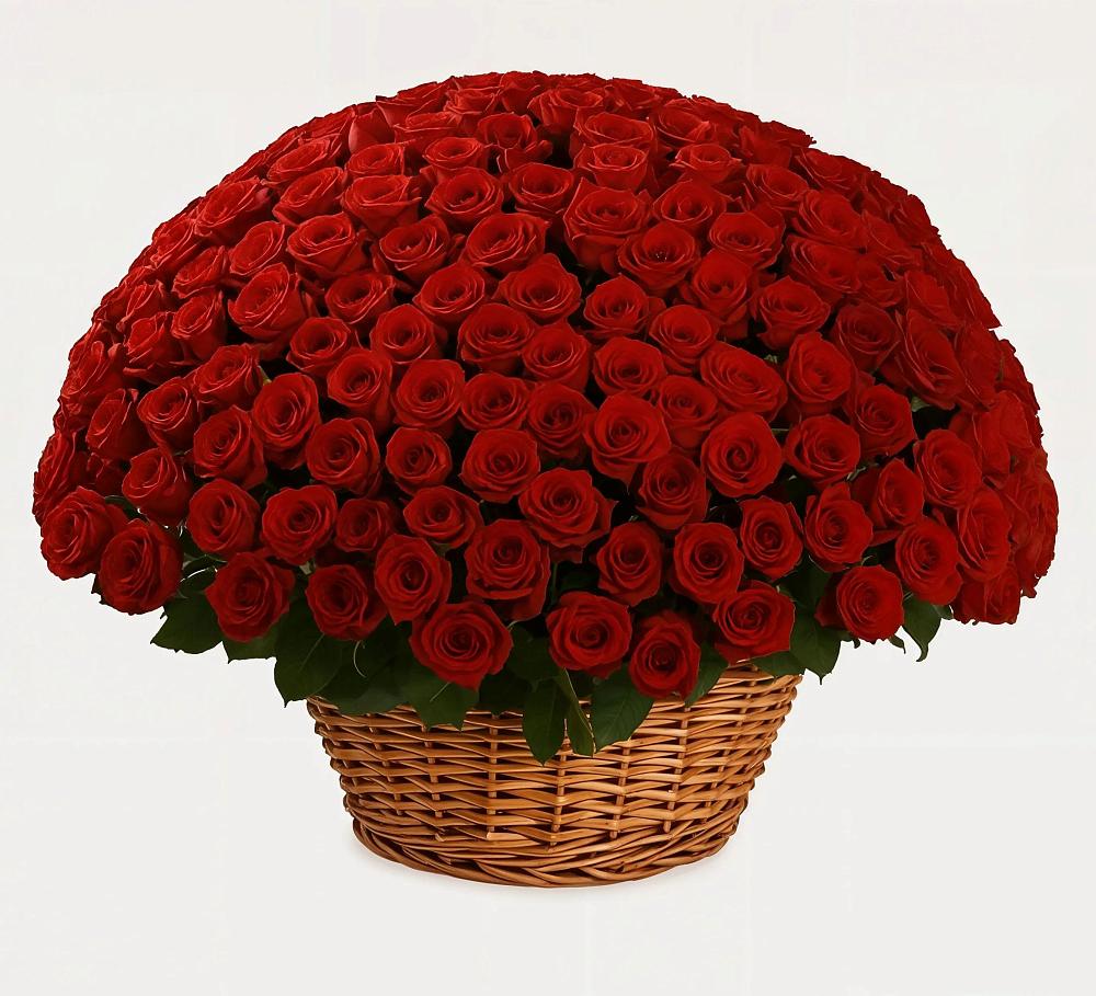 Премиум букет из: Розы в Каргинской