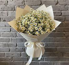 Букет цветов из:  Ромашки в Каргинской