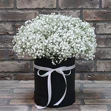 Цветочная композиция из Гипсофила в шляпной коробке в Каргинской