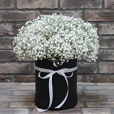 Цветочная композиция из Гипсофила в шляпной коробке в Каргинской